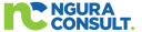 cropped nc logo 1.png